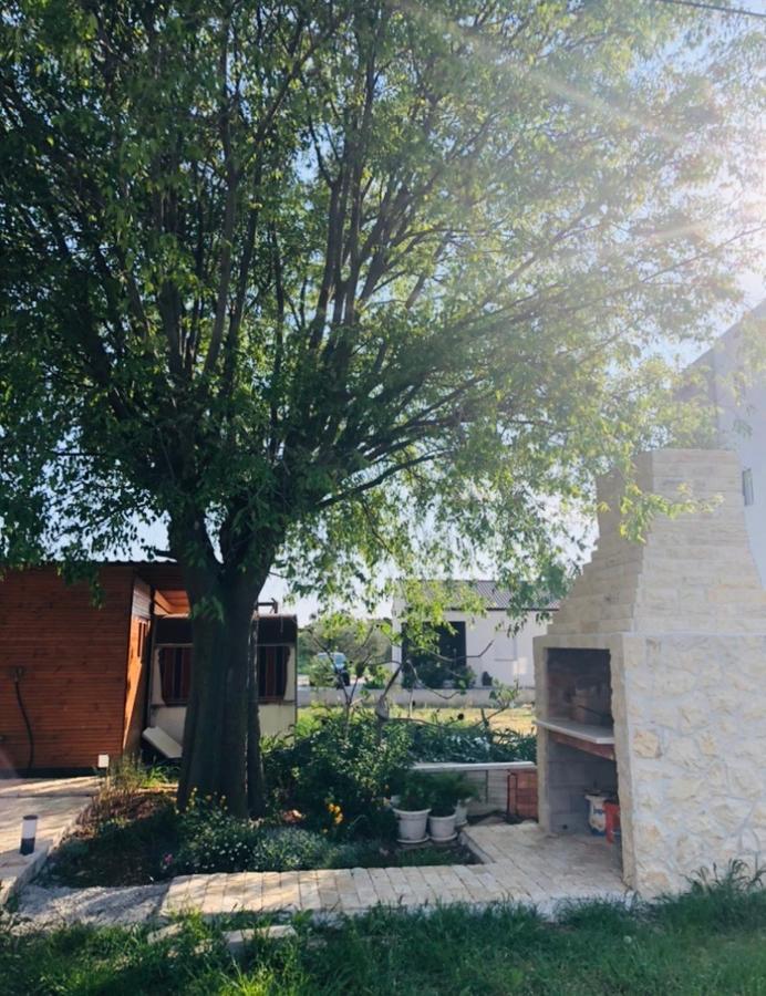 Apartmani Veronika Sukosan Sukošan Exterior foto